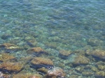 Look at how clear the water is!