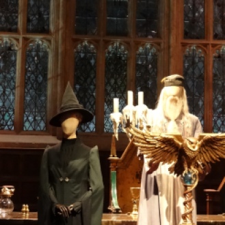 Dumbledore and McGonagall
